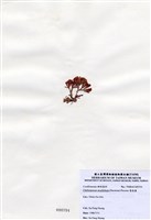 藏品(唇孢藻)的圖片